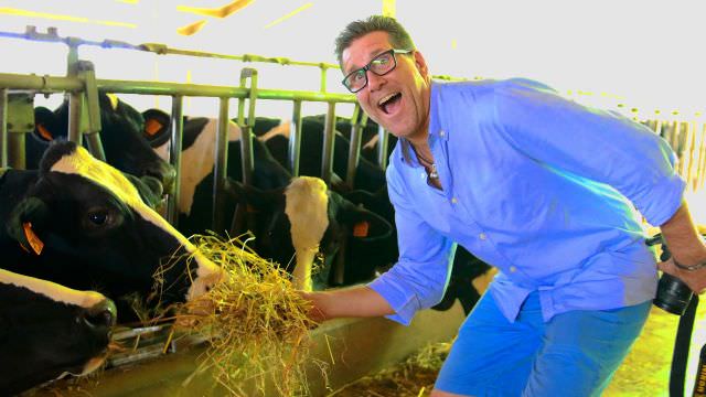 We visit a parmesan cheese producer with cows that are right on the farm